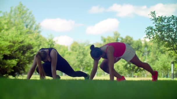 Women exercising outdoor. Two women warm up on green grass before fitness — Stockvideo