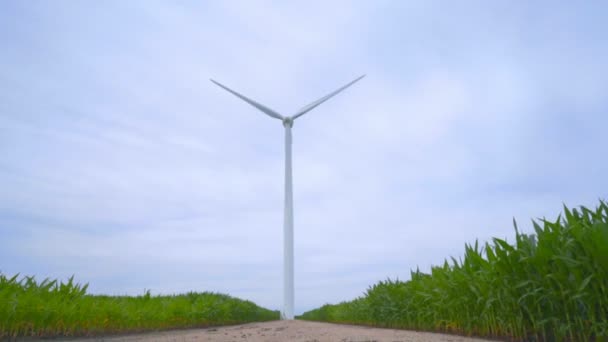 Turbina eólica en carretera rural entre campos verdes. Generador eólico — Vídeos de Stock