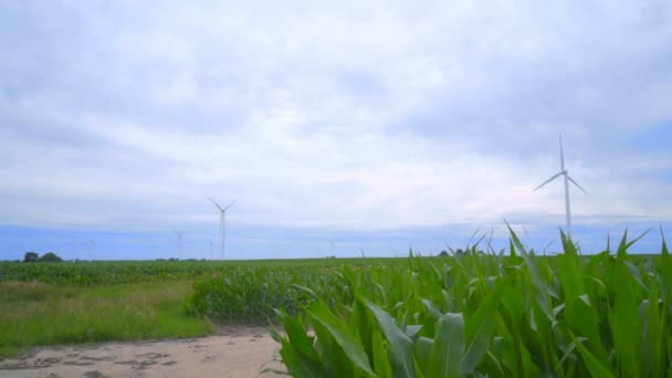 Wind turbine farm on green field. Wind turbines landscape — Stock videók