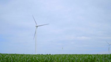 Wind power plant. Wind generators on field. Dolly shot of wind turbines