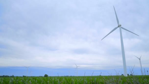 Wind power concept. Wind turbines field. Dolly shot of wind turbines — ストック動画