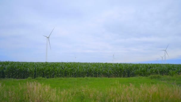 Ветряные турбины фермы на зеленом поле. Пейзаж с ветряными турбинами на лугу — стоковое видео