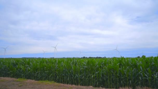 Wind turbines landscape. Renewable energy resource. Wind turbines farm — Stock Video