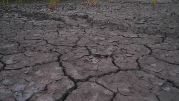 Terreno seco perto de turbinas eólicas no campo agrícola. Conceito de ecologia — Vídeo de Stock