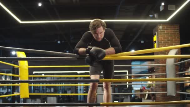 Aggressiver, fitter Mann an Ringseilen im Sportverein angelehnt. Boxer schreit in Turnhalle — Stockvideo