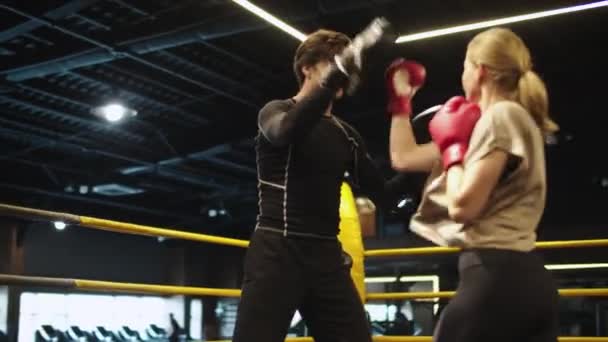 Ansioso esporte mulher boxe no esporte club.Male e feminino boxers formação no ginásio — Vídeo de Stock