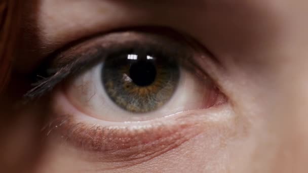 Makro ženského oka hledící do kamery. Neznámá dívka blikající ve studiu. — Stock video