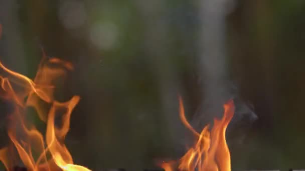 Tűzlángok közelsége égő háttér lassított felvételen — Stock videók