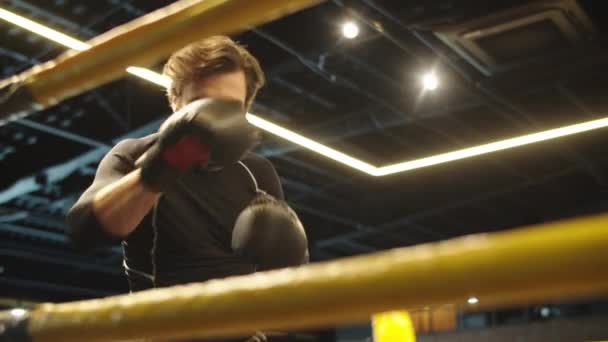 Fokuserad sport man boxning på gym. Man boxare gör slag på boxningsringen — Stockvideo