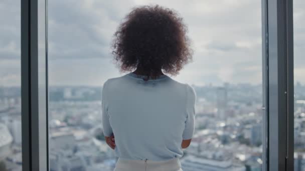 Femme d'affaires debout à la fenêtre dans le bureau. Entrepreneur bénéficiant d'une vue sur la ville — Video