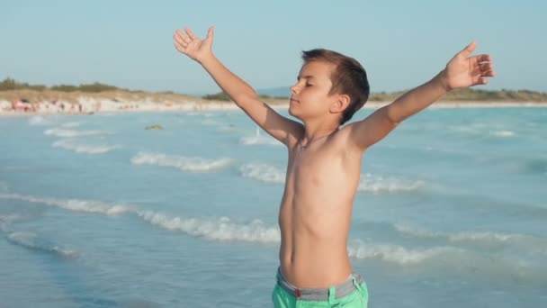 Menino despreocupado curtindo o verão na praia. adolescente feliz em pé à beira-mar. — Vídeo de Stock