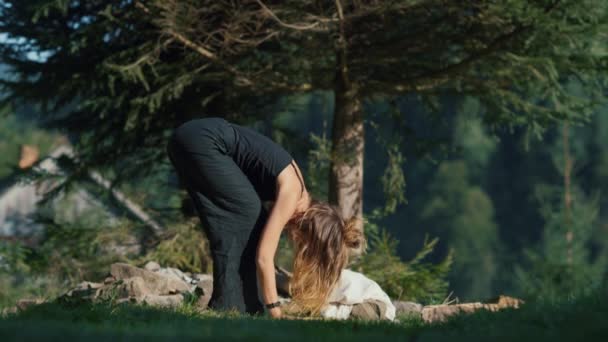 Unbekümmerte Frau genießt Yoga-Meditation in den Bergen. Mädchen leben gesund. — Stockvideo