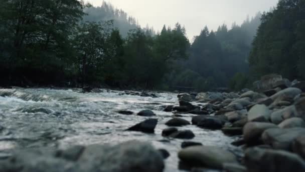 Fiume di montagna che scorre nei carpazi. Flusso abbondante che scorre tra le colline. — Video Stock