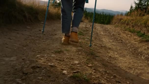 Kobieta spacerująca po polnej drodze. Kobieta podróżująca za pomocą kijków trekkingowych — Wideo stockowe