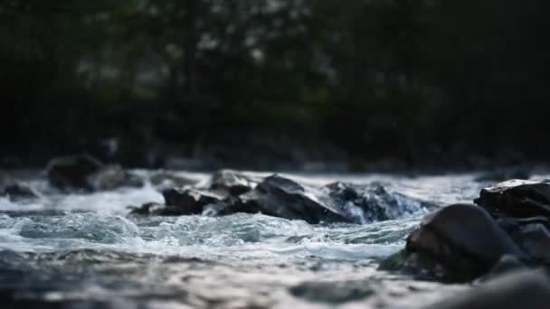 돌덩이들 사이로 흐르는 산속의 강 — 비디오