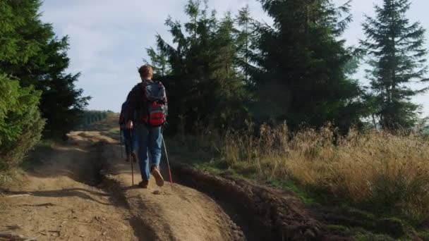 Νεαρό ζευγάρι με πασσάλους πεζοπορίας στα βουνά. Πεζοπόροι περπατούν στο δρόμο — Αρχείο Βίντεο