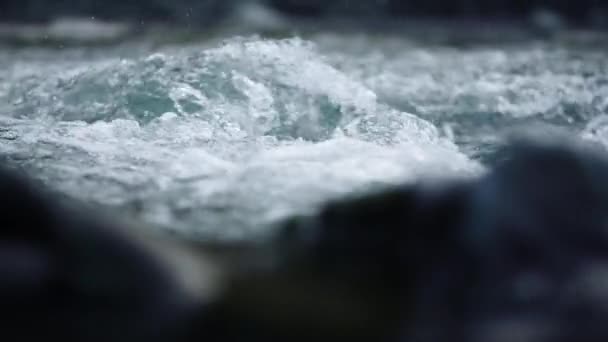 카르파티아를 흐르는 풍부 한 산의 강. 공원에서 시냇물을 파는 모습. — 비디오