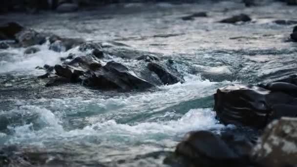 Wilder Gebirgsfluss mit kleinem Wasserfall. Schnelles Wasser fließt ein. Zeitlupe — Stockvideo