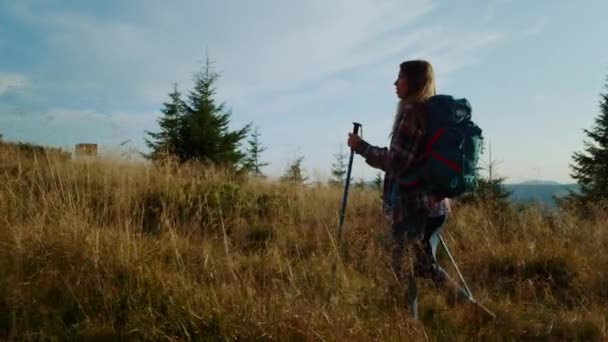 Εστιασμένη κοπέλα που κάνει πεζοπορία στον ορεινό δρόμο. Γυναίκα πεζοπόρος πεζοπορία στα βουνά — Αρχείο Βίντεο
