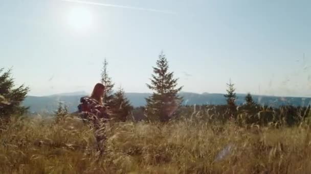 Γυναίκα ορειβασία στο δρόμο σε χορτώδες πεδίο. Γυναικεία τουριστική πεζοπορία στα βουνά — Αρχείο Βίντεο