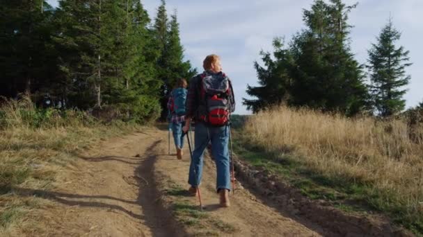 Caminhantes andando na estrada na floresta. Casal de turistas trekking nas montanhas — Vídeo de Stock