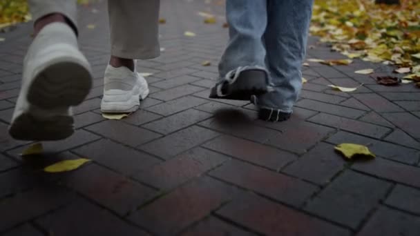 Pernas irreconhecíveis andando no parque da cidade juntas. Closeup homem e mulher pernas — Vídeo de Stock