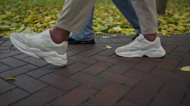 Szoros férfi és női lábak sétálnak a Városligetben. A lombozatban sétáló emberek lába — Stock videók