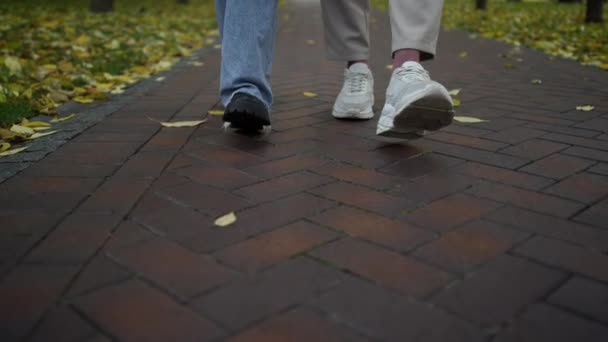 Feche pessoas desconhecidas andando em sapatos elegantes confortáveis. Amigos pés — Vídeo de Stock