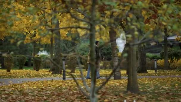 Ver uitzicht op stijlvolle jonge geliefden wandelend arm in arm in gebladerte park. — Stockvideo