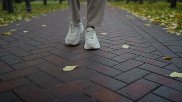 Vue rapprochée des pieds de l'homme marchant dans le parc d'automne. Jambes masculines en cours de route — Video