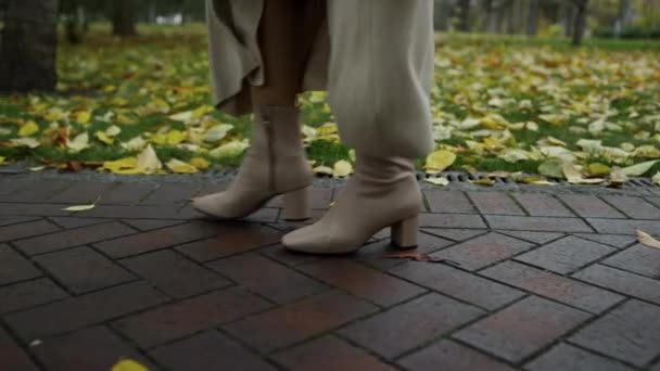 Chiudi gambe donna in stivali camminando a passerella nel parco. Scarpe che vanno lentamente — Video Stock