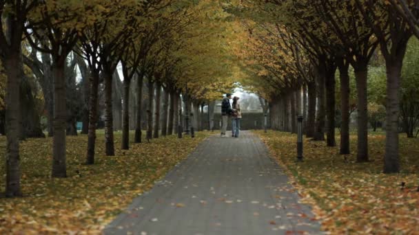 낭만적 인 젊은 연인들이 아름다운 가을 공원에서 손을 잡고 키스를 한다. — 비디오