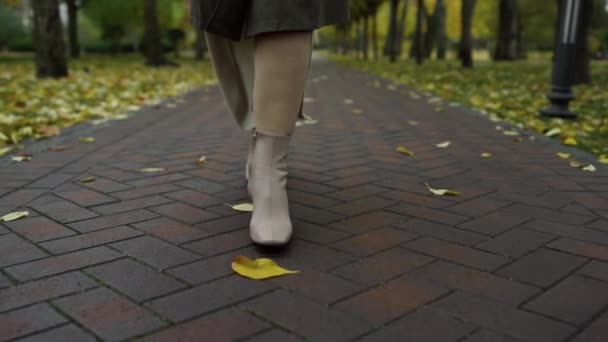 Pieds féminins dans des bottes élégantes allant dans le parc d'octobre. Femme jambes chemin de marche. — Video