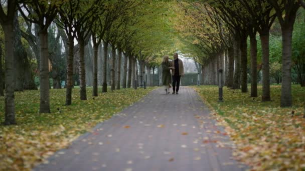 Ampia lunghezza di felice coppia di anziani a piedi nel parco autunnale. Donna romantica. — Video Stock