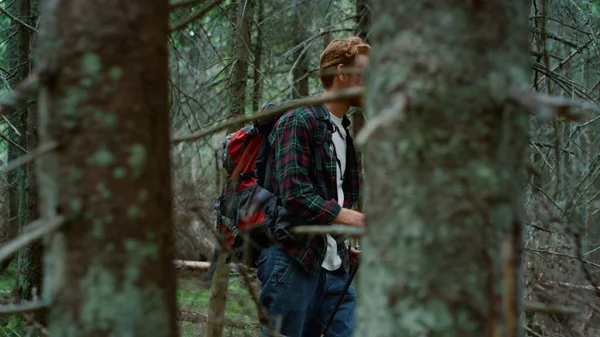 Πεζοπόρος περπατά ανάμεσα στα δέντρα στο καλοκαιρινό δάσος. Redhead άνθρωπος πεζοπορία δάση — Φωτογραφία Αρχείου