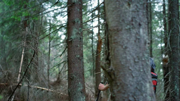 Mann mit Wanderstöcken beim Wandern im Wald. Männliche Touristen spazieren in grünen Wäldern — Stockfoto