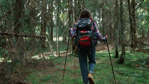 Vrouwelijke wandelaar in het bos. Jonge vrouw met rugzak trekking in het bos — Stockfoto