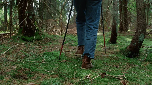 Mies vaelluskengissä kävelee sammalella metsässä. Uros patikoija vaellus metsässä — kuvapankkivalokuva
