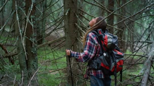Турист стоїть у літньому лісі. Дівчина відпочиває в лісі під час походу — стокове відео