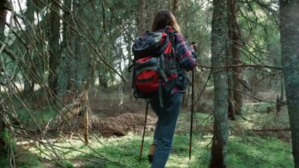 Женщина, путешествующая в сказочном лесу. Женская туристическая прогулка по летним лесам — стоковое видео
