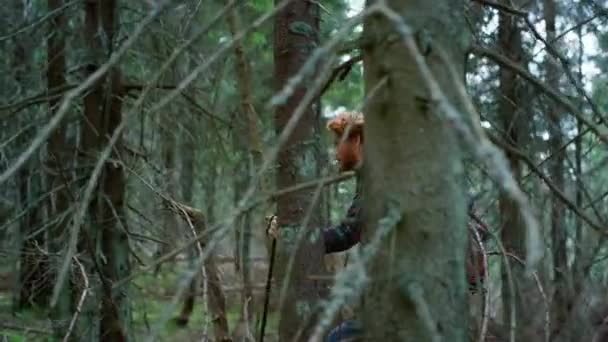 おとぎ話の森の中の男性観光客のハイキング。緑の木の間を歩く赤毛の男 — ストック動画