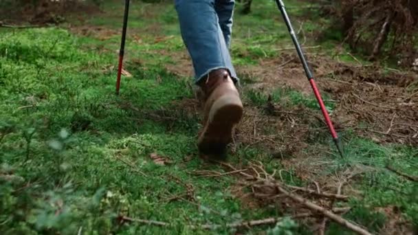 Hombre viajero caminando en los bosques de verano. Caminante con bastones de esquí al aire libre — Vídeo de stock