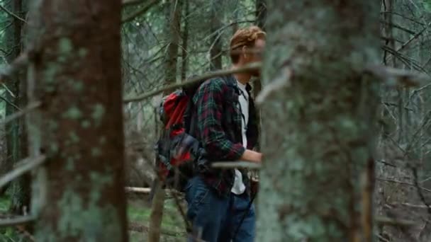 Spaziergänger zwischen Bäumen im Sommerwald. Rotschopf Mann Trekking Wälder — Stockvideo