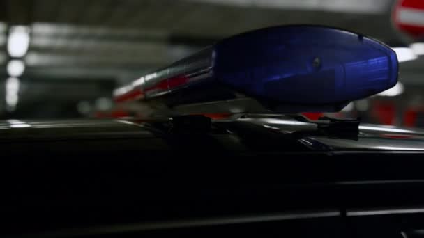 Polis arabasında kırmızı ve mavi ışıklar parlıyor. Aracın çatısında siren ışığı — Stok video