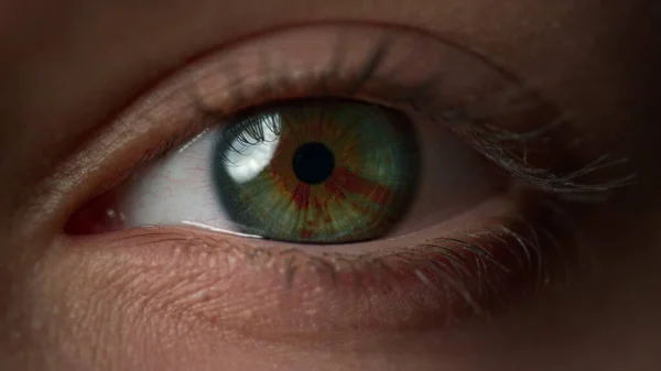 Extremadamente macro de hermosos ojos azules femeninos. Vista cercana del movimiento ojo de la mujer —  Fotos de Stock