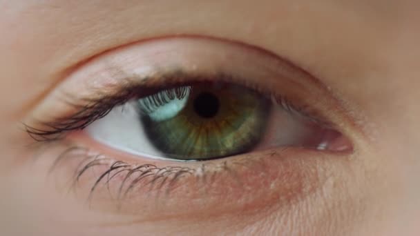 Macro camera beweging van een vrouw oog staren naar de camera. Close-up van het vrouwelijke oog. — Stockvideo