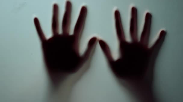 Macro two female hands pressing against glass wall indoors.Blurred hands shadow. — Stock Video