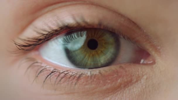 Макровидео женского правого глаза, закрывающее обзор движущейся женщины голубым глазом — стоковое видео