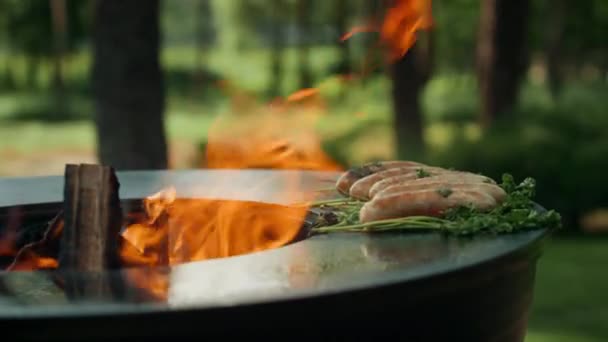 Embutidos de carne preparándose para la fiesta de barbacoa. Salchichas doradas en grado con cilantro — Vídeo de stock