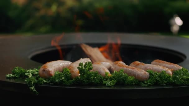 Comida preparándose para la fiesta de barbacoa. Embutidos jugosos cocinando con hierbas al aire libre — Vídeo de stock